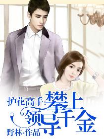 护花高手:攀上领导千金