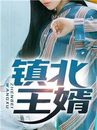 镇北王婿