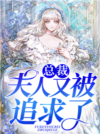 总裁，夫人又被追求了