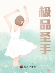 极品圣手