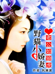 老公如狼虎:野猫小娇妻