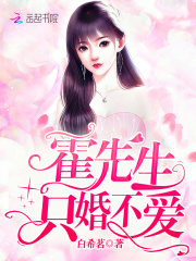 霍先生只婚不爱
