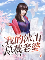 我的冰山总裁老婆