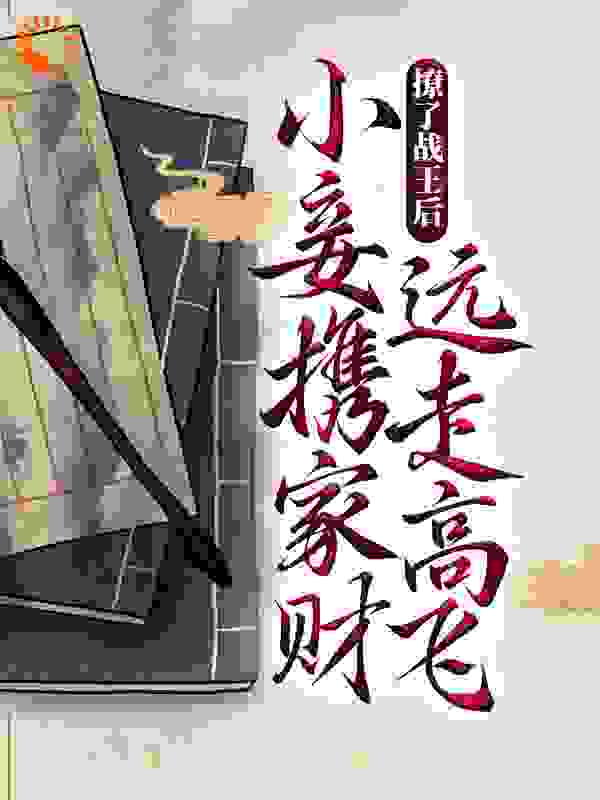 撩了战王后,小妾携家财远走高飞了
