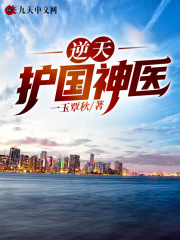 逆天护国神医