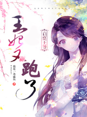 启禀王爷：王妃又跑了