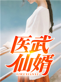 医武仙婿