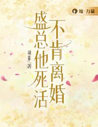 盛总他死活不肯离婚