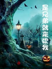 是兄弟就来砍我