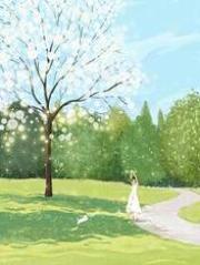 家人为了真千金让我假死,我真死后他们疯了