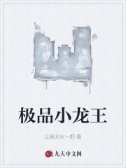 极品小龙王
