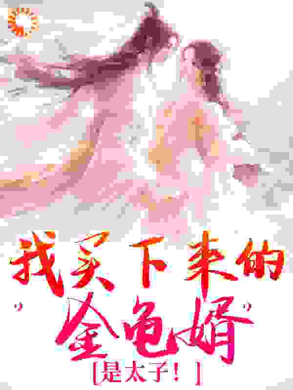 我买下来的“金龟婿”是太子！