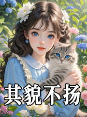 其貌不扬