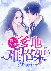 萌宝驾到,爹地难招架