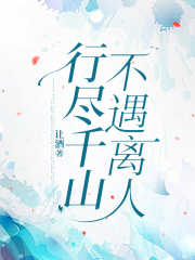 行尽千山，不遇离人