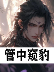 管中窥豹