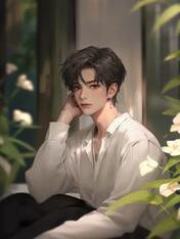 不见叶落不见归