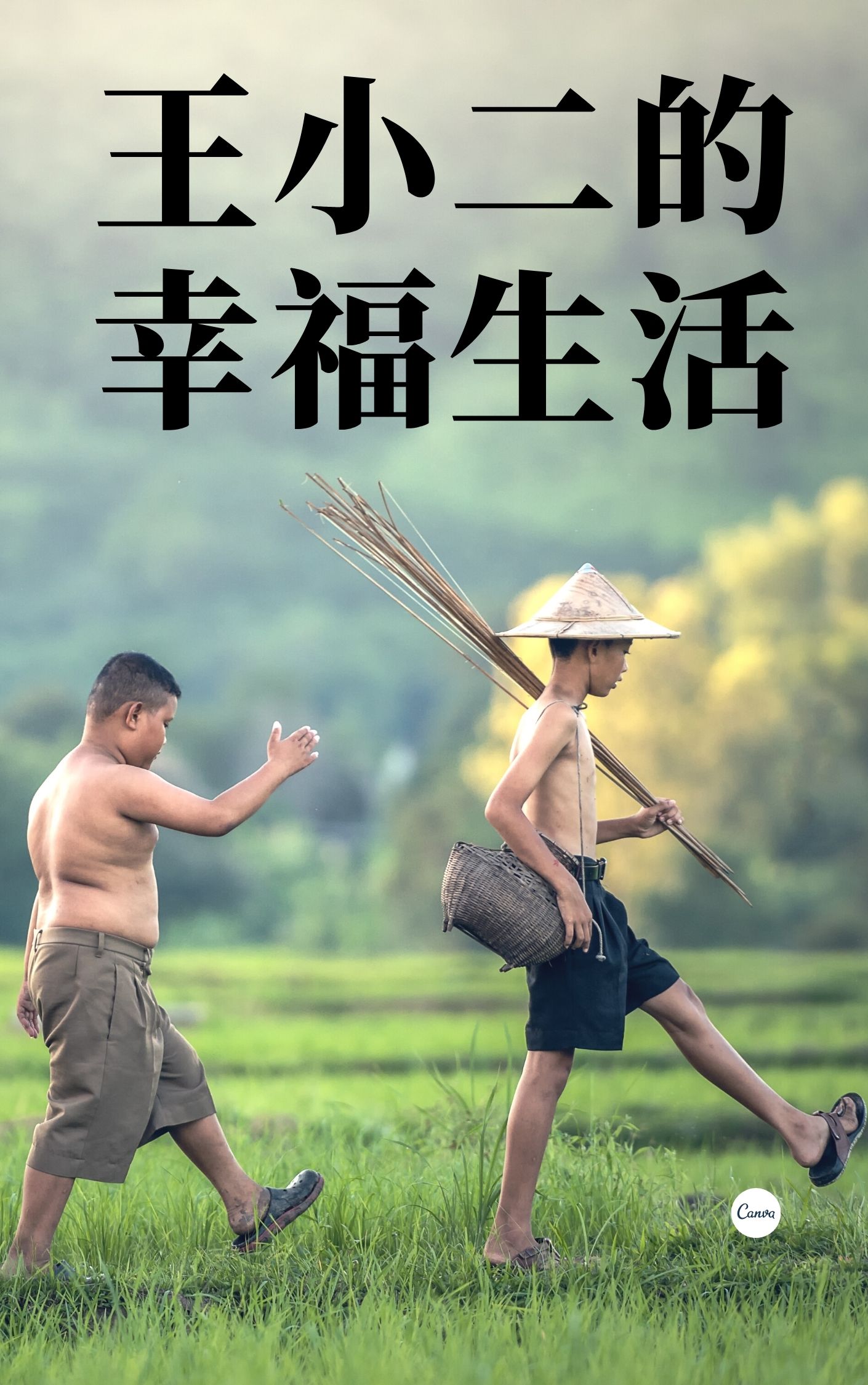 王小二的幸福生活