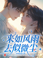 来如风雨,去似微尘