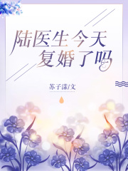 总裁追着前妻跑
