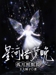 星河惜梦晚,孤月照恨长
