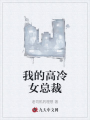 我的高冷女总裁