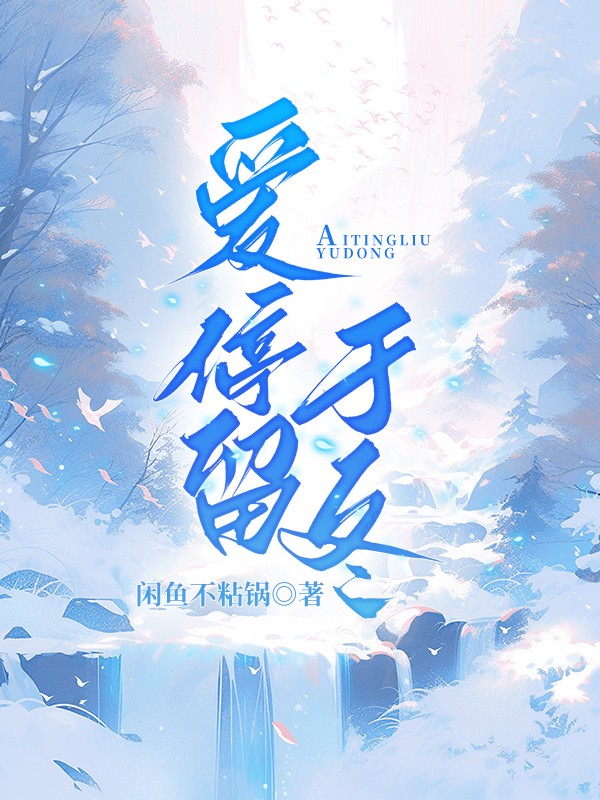 爱停留于冬