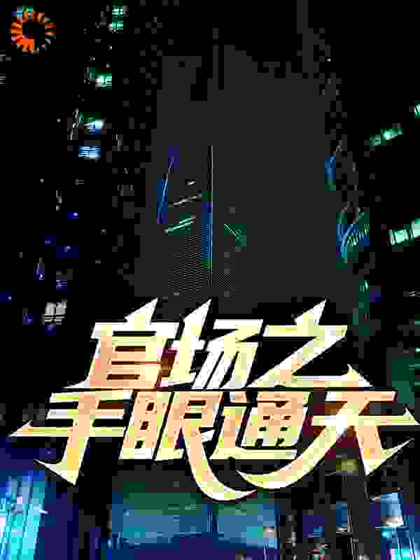 官场之手眼通天