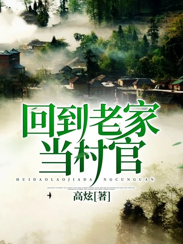 回到老家当村官