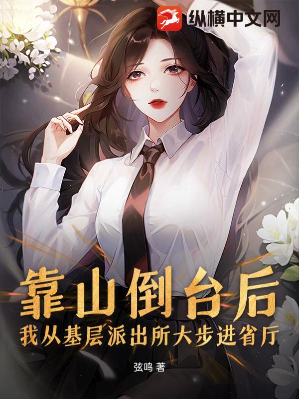 靠山倒台后,我从基层派出所大步进省厅