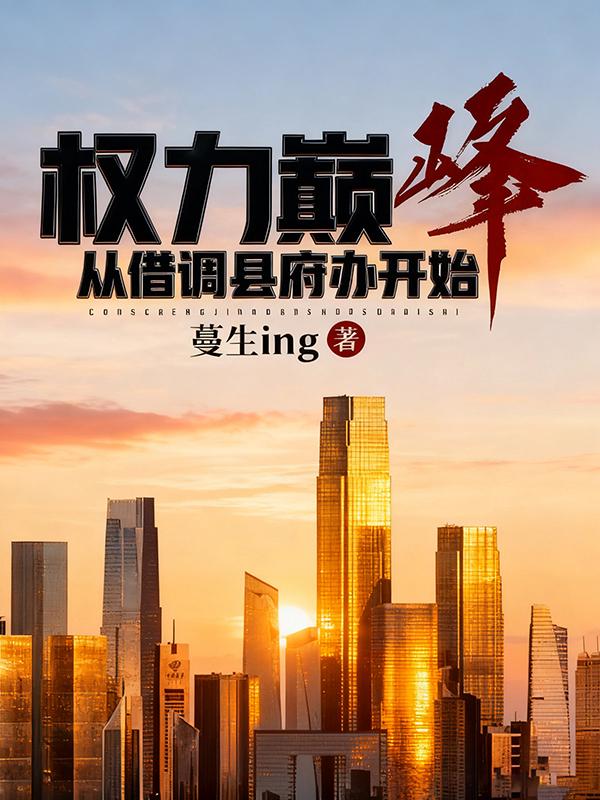 权力巅峰,从借调县府办开始